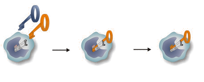 Keyhole-Lock-Key model